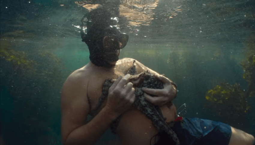 מורתי התמנונית – על סבלנות, סקרנות ויחסים