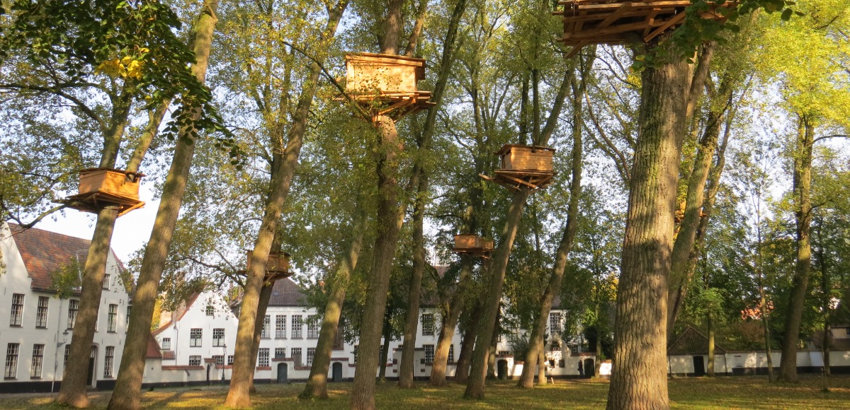 Header Image for מי בבית – <br> מלוות תהליכים מוסמכות בגישת התמקדות בבית