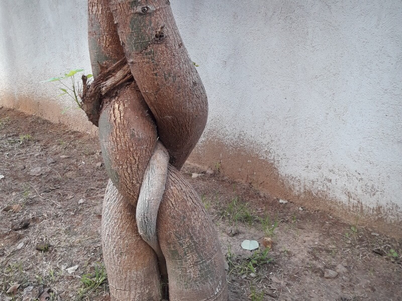 המודל המושלם לזוגיות