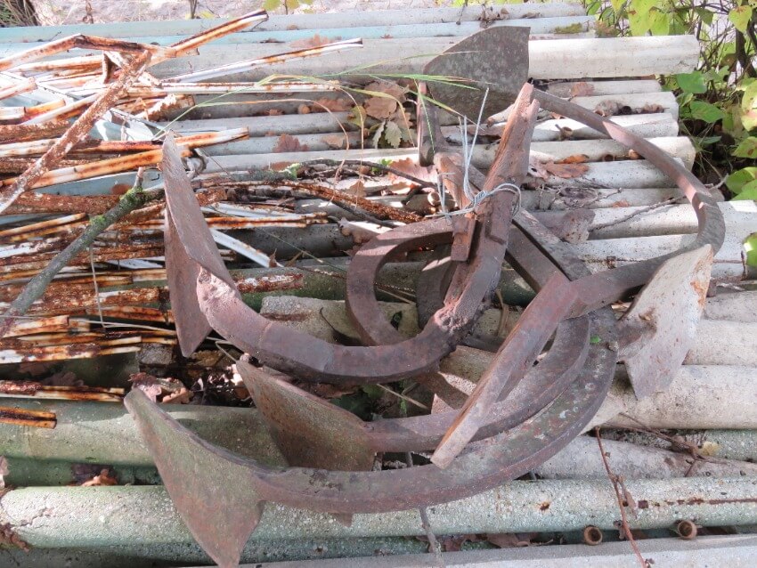 מעגל הביקורת והטראומה