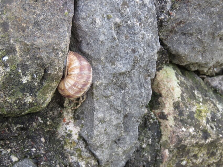 להקשיב לסיפור