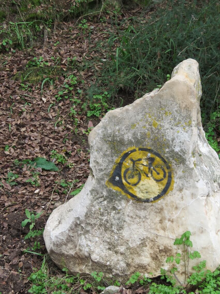 תנועה בעצירה
