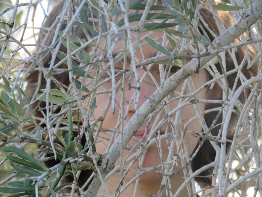 משהו שלא מרגיש מובן