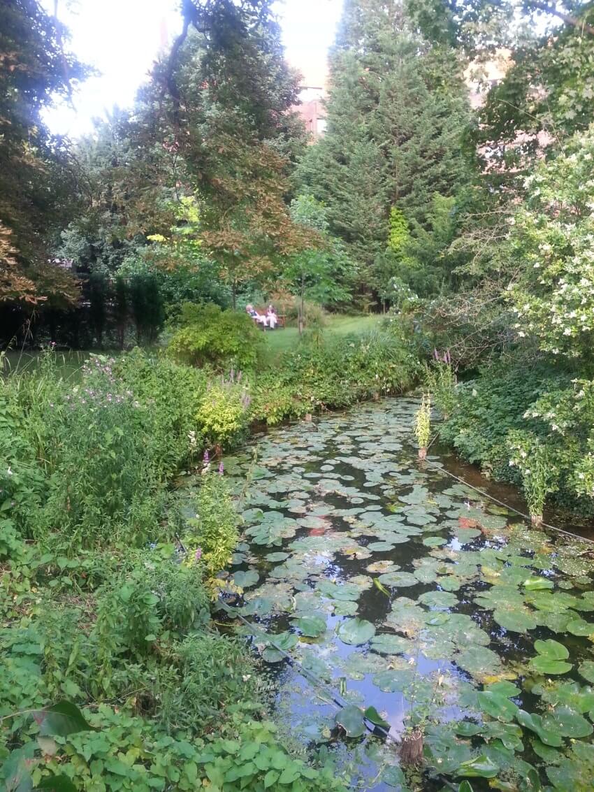 התמקדות בשניים