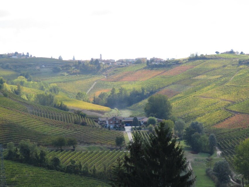 נוף שדות וכרמים