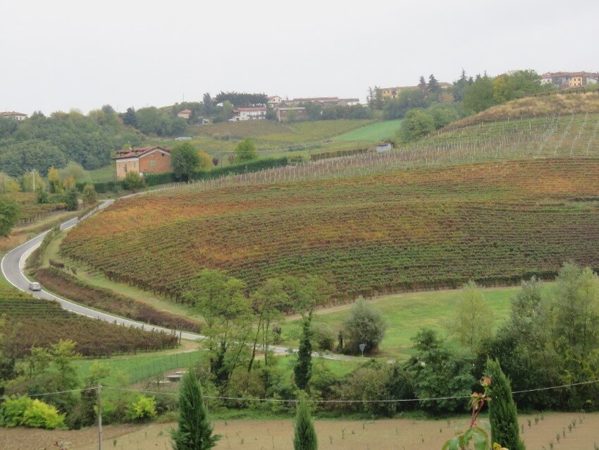 נוף שדות וכרמים