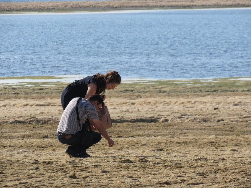 focusing and interaction