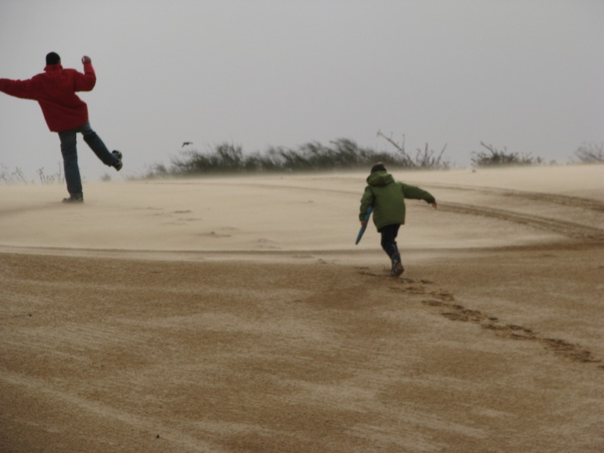 הולכים במדבר