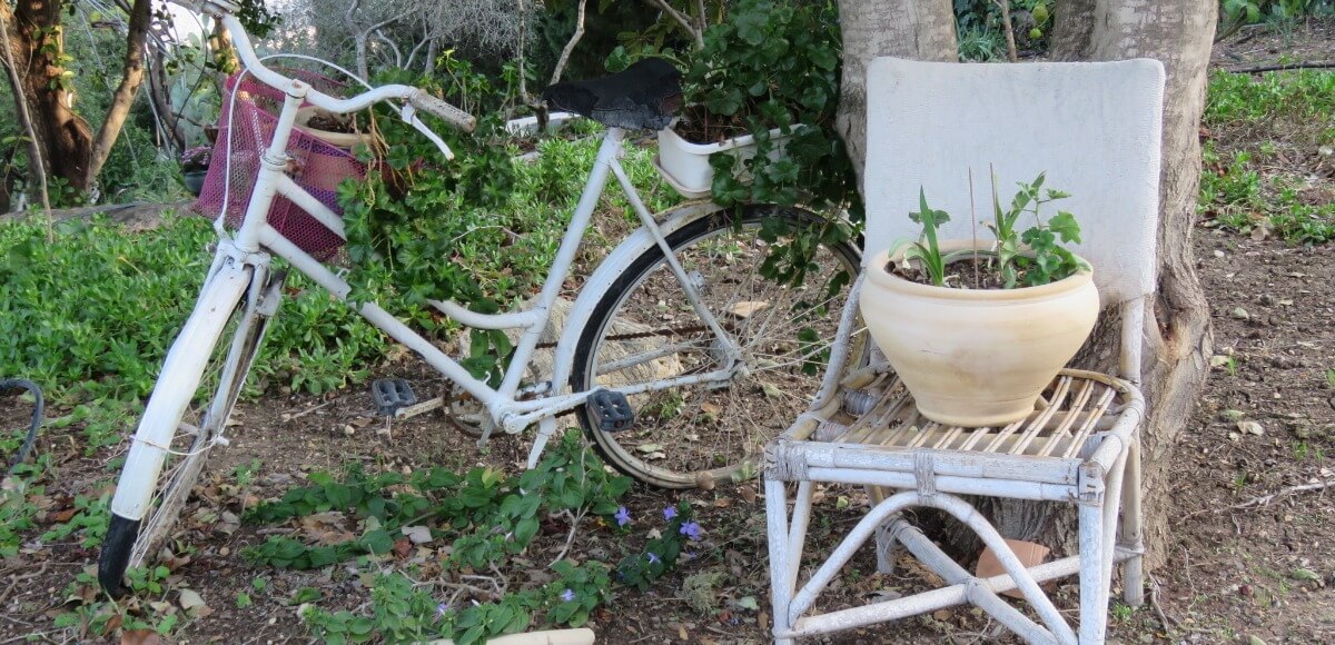 הדרכה למלווי תהליכים ואנשי חינוך